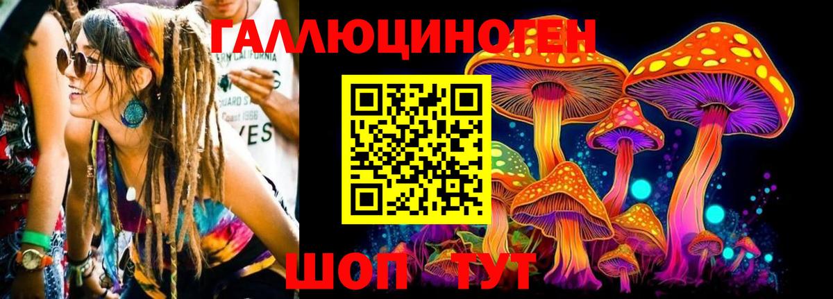 Галлюциногенные грибы GOLDEN TEACHER  Вход с VPN  купить  сайты  Дубна 