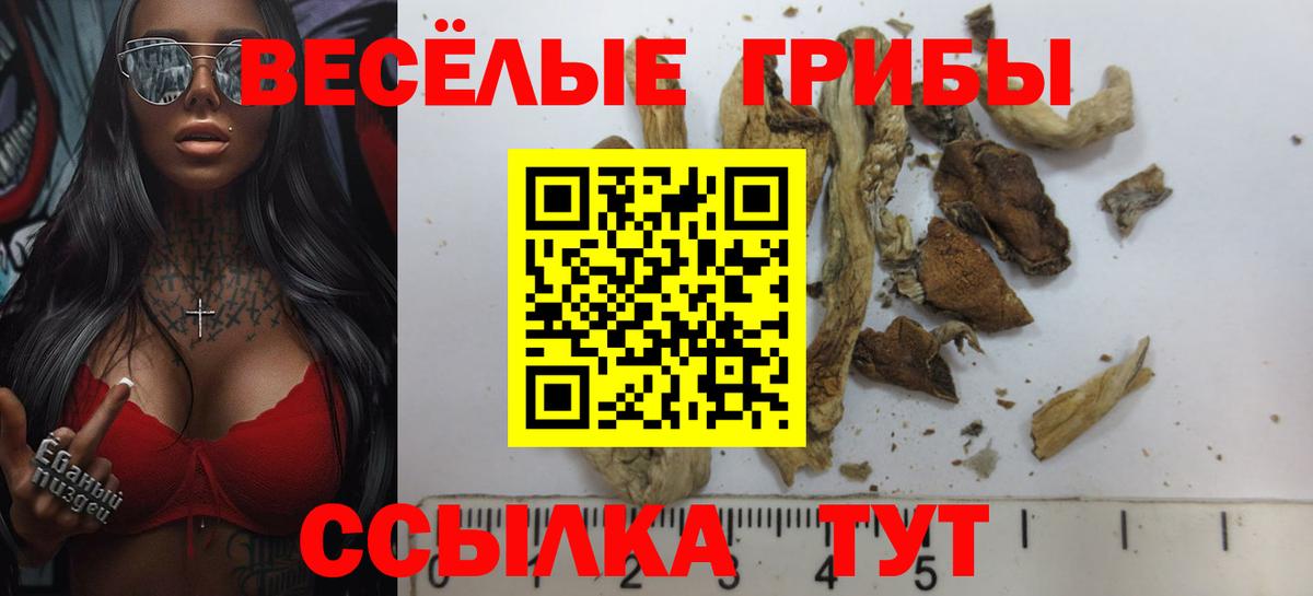 Псилоцибиновые грибы Magic Shrooms Дубна