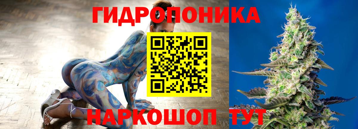 Канабис ГИДРОПОН Дубна